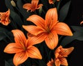 Seamless pattern with orange lilies illustration in retro style Royalty Free Stock Photo