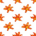 Seamless pattern orange lily flower white background isolated, red & yellow petals lilly repeating ornament, daylily texture Royalty Free Stock Photo