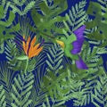 Seamless pattern with orange strelitzia and watercolor green colibri on tropical leaves on dark blue background. Exotic tropic pri Royalty Free Stock Photo