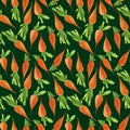Seamless pattern orange, watercolor carrots with tops, on a green background