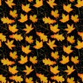 Seamless pattern with orange yellow watercolor autumn leaves on black background with golden silhouettes with Fall Leave Royalty Free Stock Photo