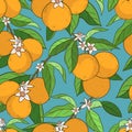 Seamless pattern with oranges