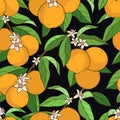 Seamless pattern with oranges