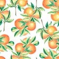 Seamless pattern with oranges fruit and leaves. Watercolor hand drawn illustration of juicy citrus. Background template Royalty Free Stock Photo