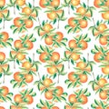 Seamless pattern with oranges fruit and leaves. Watercolor hand drawn illustration of juicy citrus. Background template Royalty Free Stock Photo