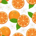 Seamless pattern with oranges, green leaves and flowers on white background. V Royalty Free Stock Photo