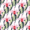 Seamless pattern with orchids 1 Royalty Free Stock Photo