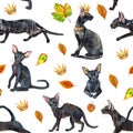 Seamless pattern of oriental black cats. Painting animal illustration