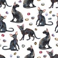 Seamless pattern of oriental black cats. Painting animal illustration