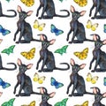 Seamless pattern of oriental black cats. Painting animal illustration