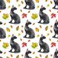 Seamless pattern of oriental black cats. Painting animal illustration