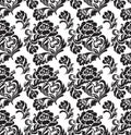 Seamless pattern, ornament floral, background Royalty Free Stock Photo
