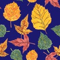 Seamless pattern of ornamental autumn leaves on a blue background, graphic color pattern Royalty Free Stock Photo