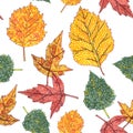 Seamless pattern of ornamental autumn leaves on a white background, graphic color pattern Royalty Free Stock Photo