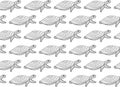 Seamless pattern of ornamental sea turtles in zentangle style on a white background. Isolated black outline doodle aquatic animals