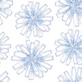 Seamless pattern with ornate chicory flower in blue on the white background with blots. Floral background in contour style Royalty Free Stock Photo