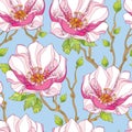 Seamless pattern with ornate magnolia flower in pink and green leaves on the blue background. Royalty Free Stock Photo