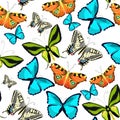 Seamless pattern Ornithoptera paradisea, butterfly wings of a bi Royalty Free Stock Photo