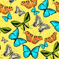 Seamless pattern Ornithoptera paradisea, butterfly wings of a bi Royalty Free Stock Photo
