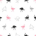 Seamless pattern with ostrich silhouettes. Vector birds illustration Royalty Free Stock Photo