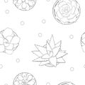 Seamless pattern with outline succulents.
