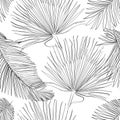 Seamless Pattern with Outlined Black Palm Leaves