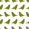 Seamless pattern with owl parrot kakapo.