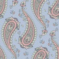 Seamless pattern paisley ornamental background Vector illustration Royalty Free Stock Photo