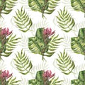 Seamless pattern with palm leaves and protea Royalty Free Stock Photo