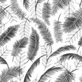Seamless pattern with palm leaves. Tropical texture, black palm branches on white background. Linear outline, flat design. Vector Royalty Free Stock Photo