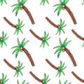 Seamless pattern with Palm tree with coconuts on white background, hand drawn watercolor illustration Royalty Free Stock Photo