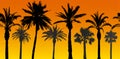 Seamless pattern of palm trees silhouettes at sunrise, vector illustration Royalty Free Stock Photo