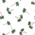 Seamless pattern with palms. Good for backgrounds, prints, apparel and textiles. Vector illustration