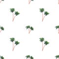 Seamless pattern with palms. Good for covers, fabrics, postcards and printing