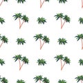 Seamless pattern with palms. Good for murals, textiles, postcards and prints. Vector illustration