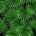 Seamless pattern with palms leaves. Decorative image tropical leaf of palm tree Livistona Rotundifolia. Background made Royalty Free Stock Photo