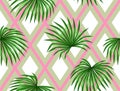 Seamless pattern with palms leaves. Decorative image tropical leaf of palm tree Livistona Rotundifolia Royalty Free Stock Photo