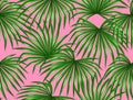 Seamless pattern with palms leaves Royalty Free Stock Photo