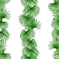 Seamless pattern with palms leaves. Decorative image tropical leaf of palm tree Livistona Rotundifolia. Royalty Free Stock Photo