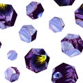 Seamless pattern with pancy and blueberry in heptagons Royalty Free Stock Photo