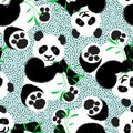 Seamless pattern with panda chews green eucalyptus