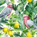 Seamless pattern, Parrot birds. lemon fruit, leaves and flowers. tropical background, watercolor jungle wallpaper Royalty Free Stock Photo