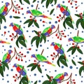 Seamless pattern with parrot. Royalty Free Stock Photo