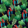 Seamless pattern with parrot. Royalty Free Stock Photo