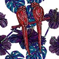 Seamless pattern with parrots. Royalty Free Stock Photo