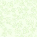 Seamless pattern with parsley