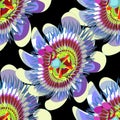 Seamless pattern passion flower Blue tropical fruit vector Royalty Free Stock Photo