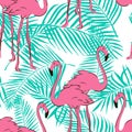 Seamless pattern with pastel pink flamingos. Royalty Free Stock Photo