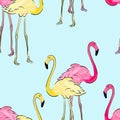 Seamless pattern with pastel pink flamingos. Royalty Free Stock Photo