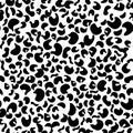 Seamless pattern, pattern, texture from random spots in the form of a leopard skin. Abstract black white conceptual background